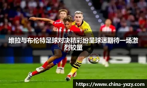 db旗舰官方网站